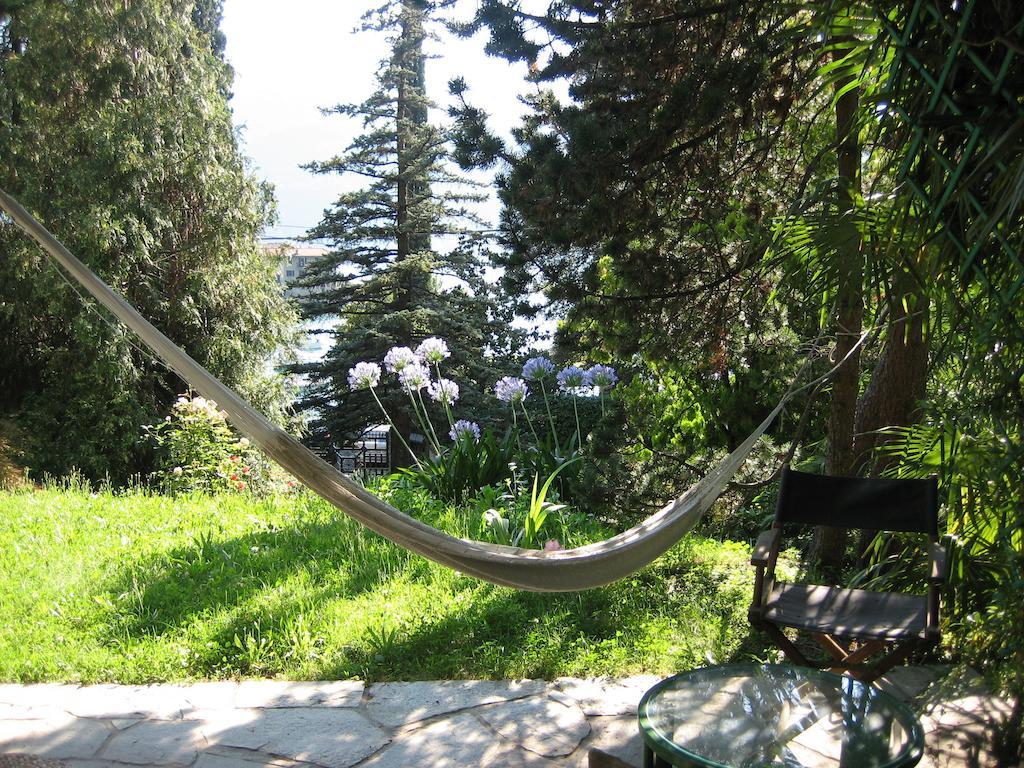 B&B Le Ortensie -Lago Di Como Lierna Eksteriør billede